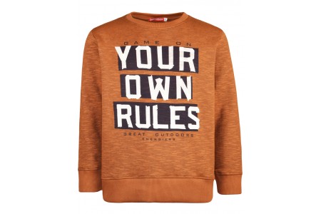 Μπλούζα φούτερ τύπωμα