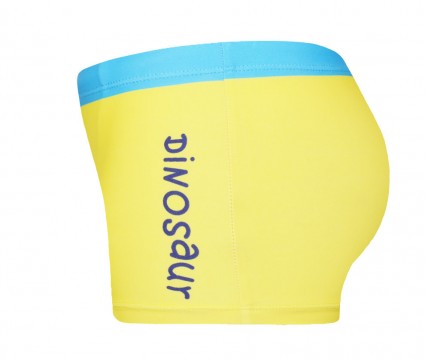 Μαγιώ μπόξερ τύπωμα δεινόσαυρος