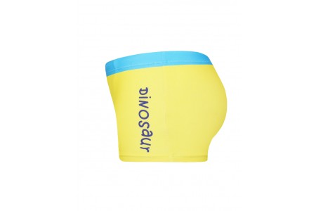 Μαγιώ μπόξερ τύπωμα δεινόσαυρος