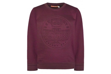 Μπλούζα φούτερ με ελαφρύ χνούδι εσωτερικά και με μοντέρνο σχέδιο