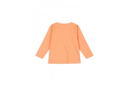 Παιδικό μακρυμάνικο με τύπωμα για κορίτσι-ΒΕΡΥΚΟΚΚΙ